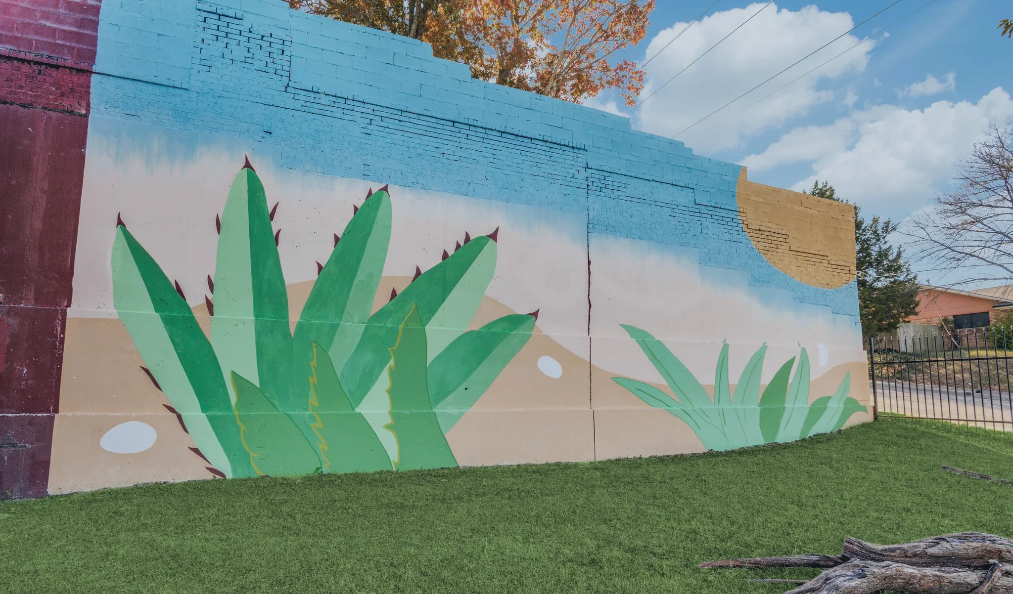 The hand painted agave mural on the boundary wall, above the lawn.